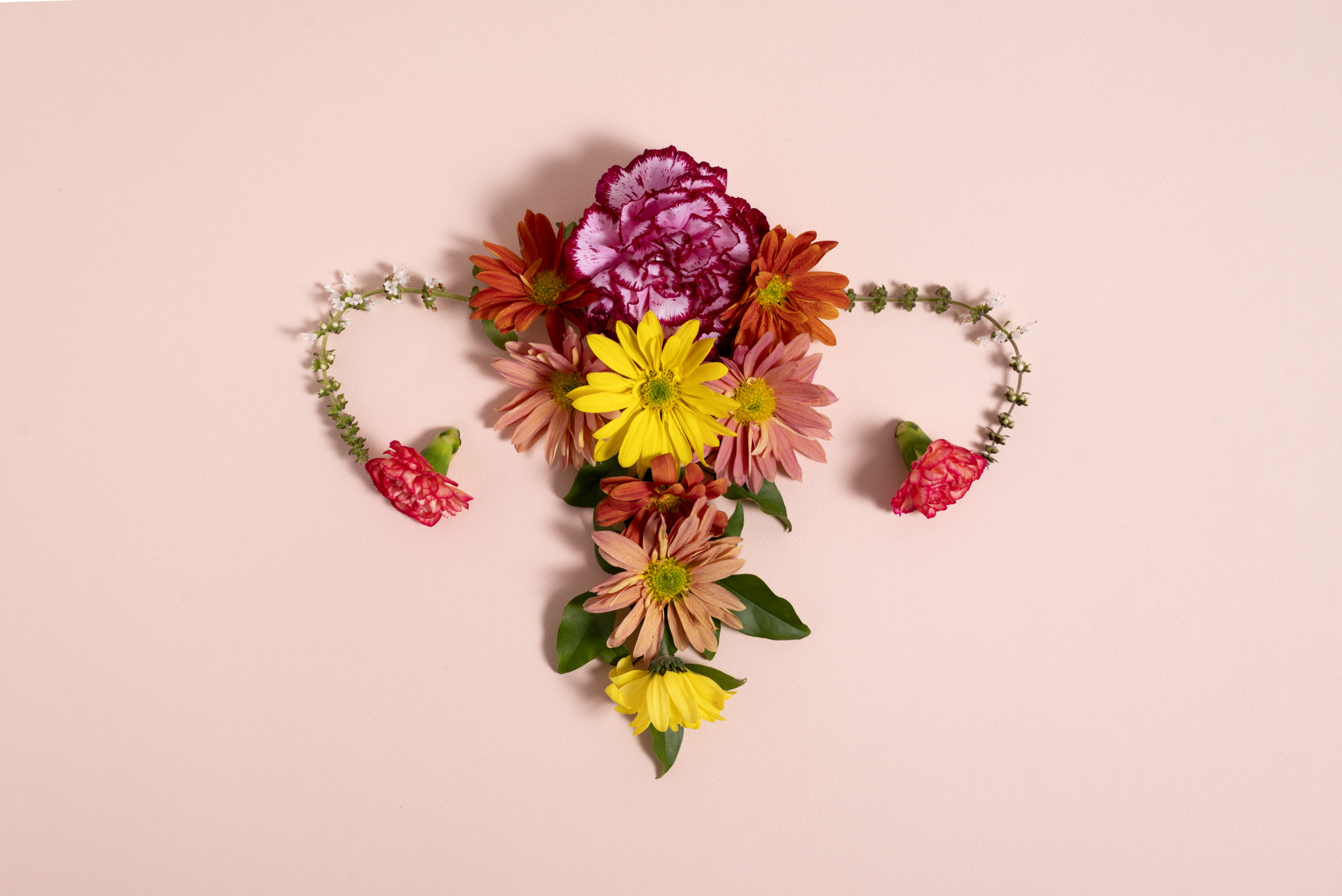 perimenopause menopause